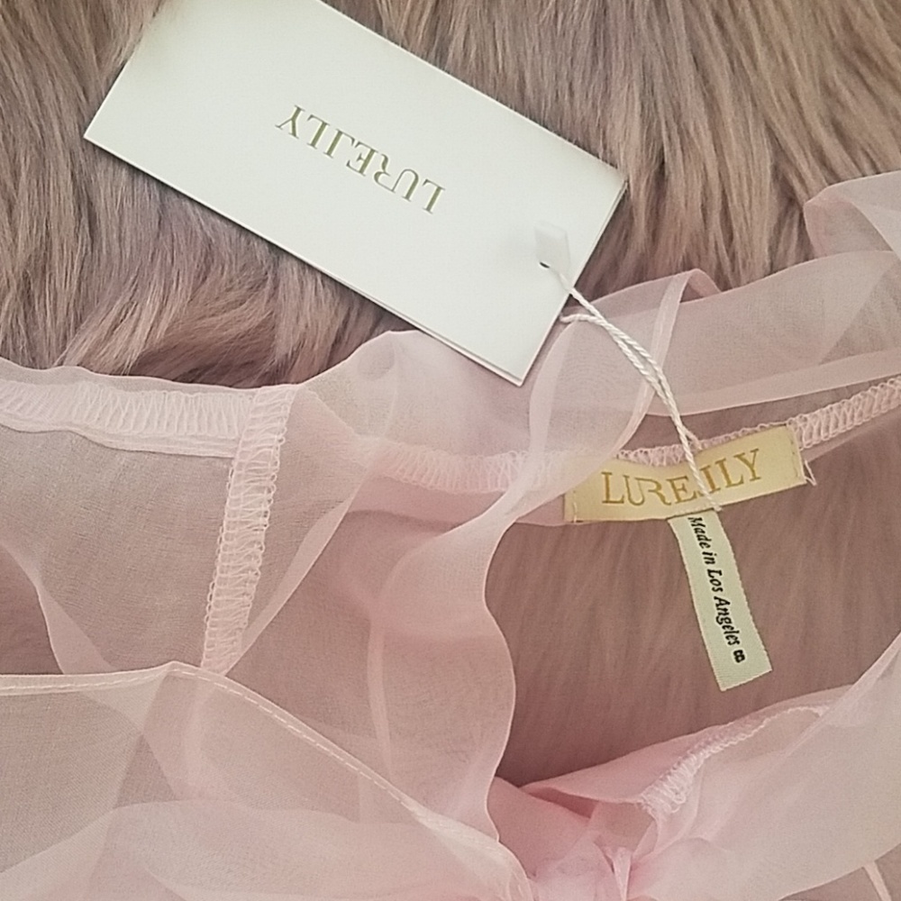 Sheer Lace Blouse in Blush - Picture 4 of 5